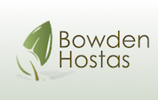 Bowden Hostas